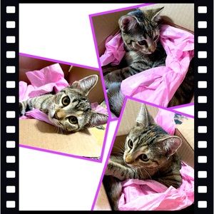 🩷💜I pack all my fragile items with care💜🩷